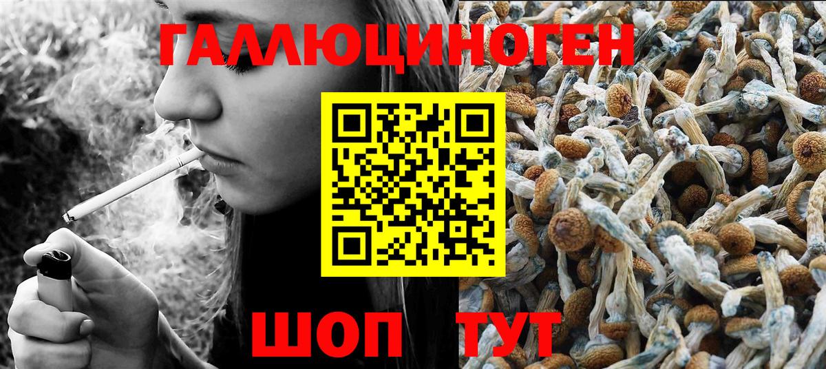 Псилоцибиновые грибы GOLDEN TEACHER Находка