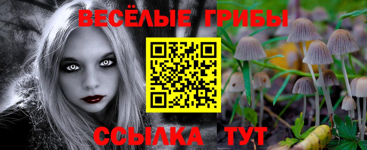Галлюциногенные грибы прущие грибы  Галлюциногенные грибы Psilocybine cubensis  где продают   Находка  Вход с VPN 